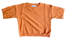 CDL/147x FILOU & FRIENDS truitje - 2-3 jaar - Pre Loved