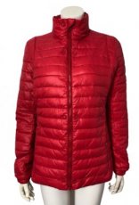 AIRFORCE kort jasje - padded jacket - L - Nieuw
